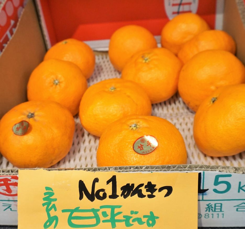 フルーツとみざわ：1F – 直江津ショッピングセンターエルマール
