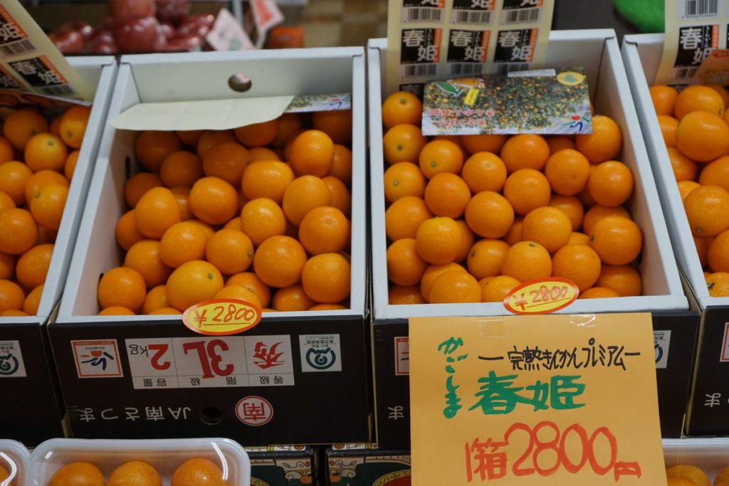 フルーツとみざわ：1F – 直江津ショッピングセンターエルマール